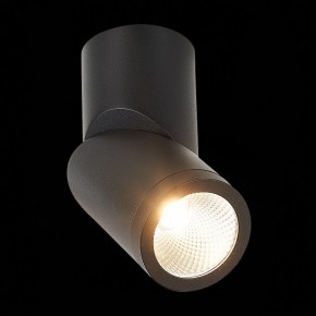 Светильник на штанге ST-Luce ST650 ST650.442.10 в Качканаре - kachkanar.mebel24.online | фото 5