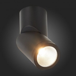 Светильник на штанге ST-Luce ST650 ST650.442.10 в Качканаре - kachkanar.mebel24.online | фото 6