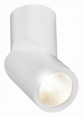 Светильник на штанге ST-Luce ST650 ST650.532.10 в Качканаре - kachkanar.mebel24.online | фото 3