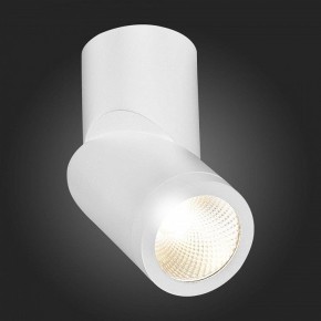 Светильник на штанге ST-Luce ST650 ST650.532.10 в Качканаре - kachkanar.mebel24.online | фото 6