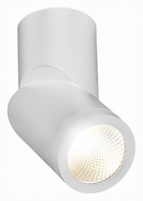 Светильник на штанге ST-Luce ST650 ST650.542.10 в Качканаре - kachkanar.mebel24.online | фото 3