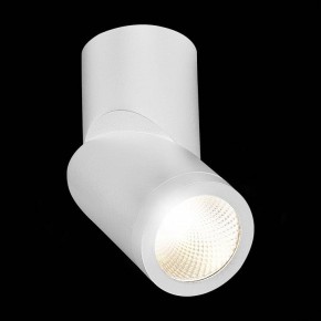 Светильник на штанге ST-Luce ST650 ST650.542.10 в Качканаре - kachkanar.mebel24.online | фото 5