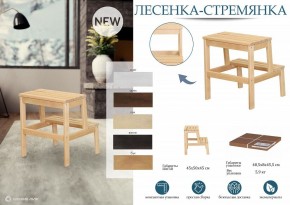 Табурет Стремянка в Качканаре - kachkanar.mebel24.online | фото 6