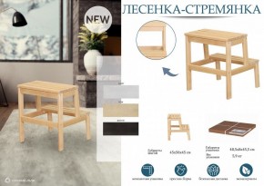 Табурет Стремянка в Качканаре - kachkanar.mebel24.online | фото 4