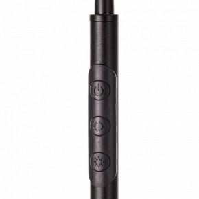 Торшер Citilux Alex CL804051 в Качканаре - kachkanar.mebel24.online | фото 4