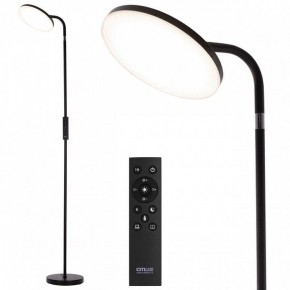 Торшер Citilux SOLO CL804061 в Качканаре - kachkanar.mebel24.online | фото 2