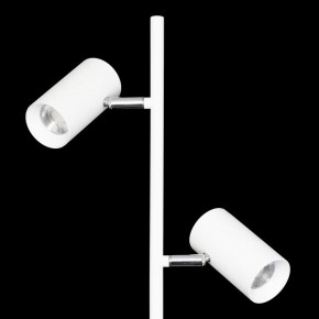 Торшер Citilux Twin CL809010N в Качканаре - kachkanar.mebel24.online | фото 6