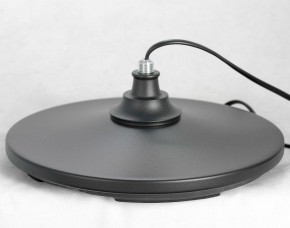 Торшер Lussole Greene LSP-0572 в Качканаре - kachkanar.mebel24.online | фото 4