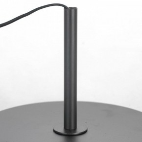 Торшер Lussole  LSP-0590 в Качканаре - kachkanar.mebel24.online | фото 3