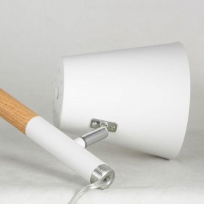 Торшер Lussole Buckeye LSP-0628 в Качканаре - kachkanar.mebel24.online | фото 4