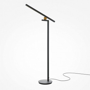 Торшер Maytoni Emphaty MOD363FL-L14B3K в Качканаре - kachkanar.mebel24.online | фото 2