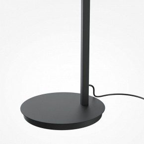 Торшер Maytoni Emphaty MOD363FL-L14B3K в Качканаре - kachkanar.mebel24.online | фото 5