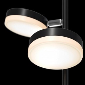 Торшер Maytoni Fad MOD070FL-L12B3K в Качканаре - kachkanar.mebel24.online | фото
