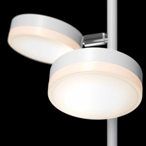 Торшер Maytoni Fad MOD070FL-L12W3K в Качканаре - kachkanar.mebel24.online | фото 5