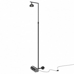 Торшер Maytoni Pikant MOD372FL-L10B3K в Качканаре - kachkanar.mebel24.online | фото
