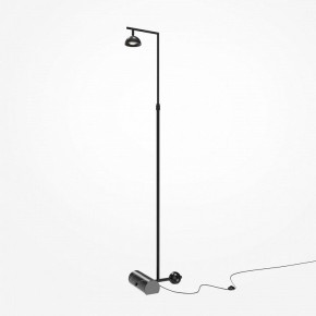 Торшер Maytoni Pikant MOD372FL-L10B3K в Качканаре - kachkanar.mebel24.online | фото 2