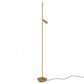 Торшер Maytoni Thin MOD395FL-L28BS3K в Качканаре - kachkanar.mebel24.online | фото