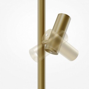 Торшер Maytoni Thin MOD395FL-L28BS3K в Качканаре - kachkanar.mebel24.online | фото 6
