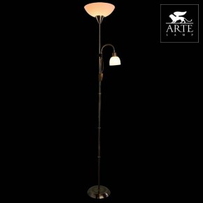Торшер с подсветкой Arte Lamp Duetto A9569PN-2AB в Качканаре - kachkanar.mebel24.online | фото 3