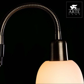Торшер с подсветкой Arte Lamp Duetto A9569PN-2AB в Качканаре - kachkanar.mebel24.online | фото 4
