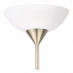 Торшер с подсветкой Arte Lamp Duetto A9569PN-2AB в Качканаре - kachkanar.mebel24.online | фото 5