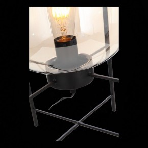 Торшер ST-Luce Burasca SL1050.505.01 в Качканаре - kachkanar.mebel24.online | фото 9