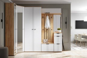 Тумба для обуви Эмилия ЭЛ-3 в Качканаре - kachkanar.mebel24.online | фото 8