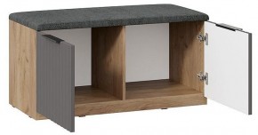 Тумба для обуви Хилтон Исп 2.2 в Качканаре - kachkanar.mebel24.online | фото 2