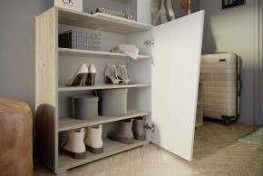 Тумба для обуви Одри в Качканаре - kachkanar.mebel24.online | фото 4