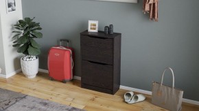 Тумба для обуви Тетра в Качканаре - kachkanar.mebel24.online | фото 2