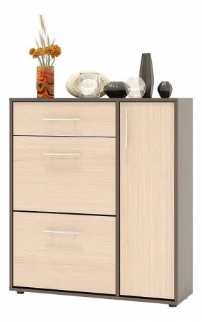 Тумба для обуви ТП-4 в Качканаре - kachkanar.mebel24.online | фото