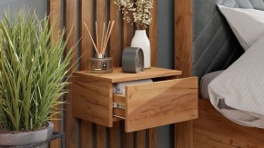 Тумба навесная Тип 1 в Качканаре - kachkanar.mebel24.online | фото 6