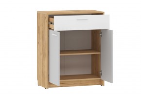 Тумба НМ 013.76 "Нортон" (Крафт Золотой) в Качканаре - kachkanar.mebel24.online | фото 2