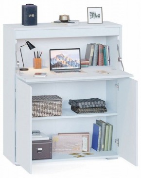 Тумба СПМ-310 в Качканаре - kachkanar.mebel24.online | фото 3
