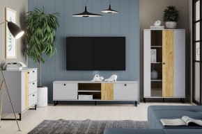 Тумба ТВА НМ 014.46 "Бруно" в Качканаре - kachkanar.mebel24.online | фото 3
