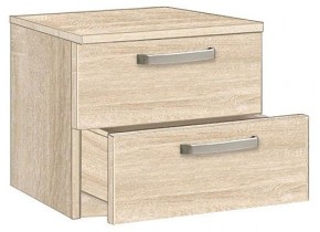 Тумбочка 1.021 в Качканаре - kachkanar.mebel24.online | фото