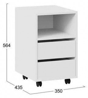 Тумбочка Тип 14 в Качканаре - kachkanar.mebel24.online | фото 4