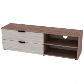 ТВ тумба TV21 (ЯШТ-ЯШС) в Качканаре - kachkanar.mebel24.online | фото