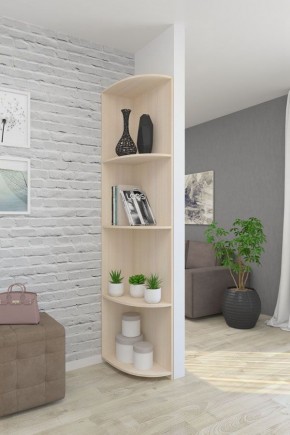 Угловой элемент ЛДСП 1 кат. в Качканаре - kachkanar.mebel24.online | фото 4