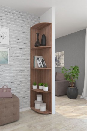 Угловой элемент ЛДСП 1 кат. в Качканаре - kachkanar.mebel24.online | фото 8