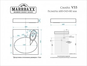 Умывальник над стиральной машиной (600*545*80) Смайл V55D1 (белый) с кронштейном без сифона (V55D1) в Качканаре - kachkanar.mebel24.online | фото 2