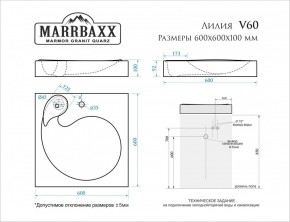 Умывальник над стиральной машиной (600*600х100) Лилия V60 (белый) с кронштейном без сифона (V60) в Качканаре - kachkanar.mebel24.online | фото 2