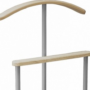 Вешалка для костюма Дэви 1 в Качканаре - kachkanar.mebel24.online | фото 2