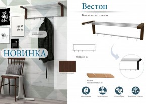 Вешалка-полка Вестон в Качканаре - kachkanar.mebel24.online | фото 3