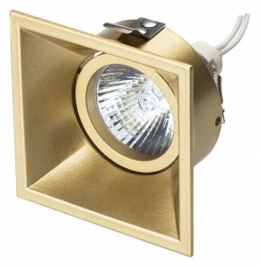 Встраиваемый светильник Lightstar Domino 214503 в Качканаре - kachkanar.mebel24.online | фото 2