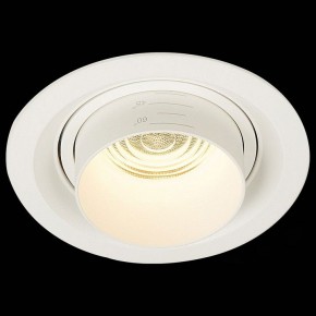 Встраиваемый светильник ST-Luce Zoom ST701.538.12 в Качканаре - kachkanar.mebel24.online | фото 4