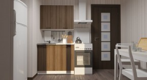 ЯНА Кухонный гарнитур Мини (1000 мм) в Качканаре - kachkanar.mebel24.online | фото